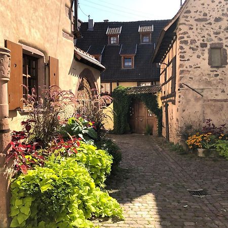 Les Gites Coeur De Vigne Riquewihr Exterior photo